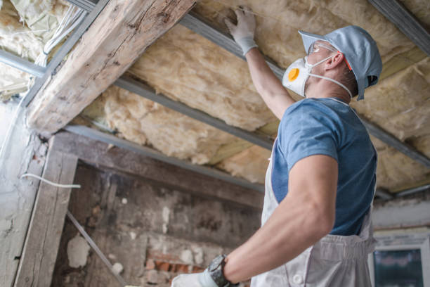 Best Insulation Maintenance and Repair in Bridgeport, IL