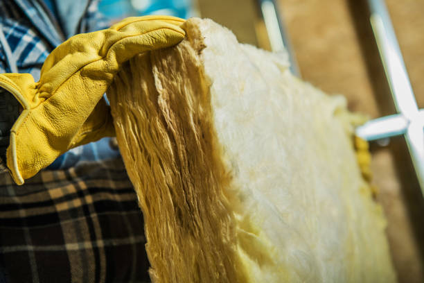 Professional Insulation Contractor in Bridgeport, IL
